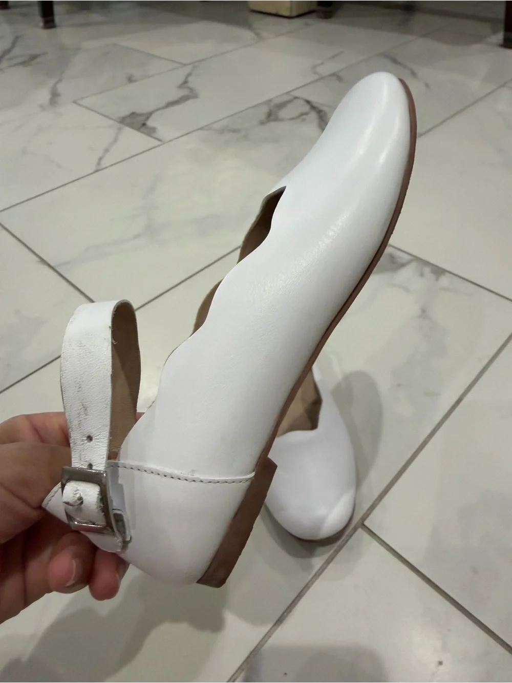Elephantito cute white